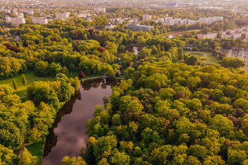 Naklejka premium Zielony Park