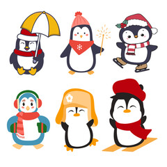 Penguin colour vector set 11