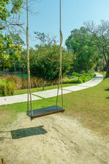 Empty swing on a tree in a park,wooden swing in a green park closeup view,Landscape view of green grass,backyard panoramic view on a beautiful sunny day..
