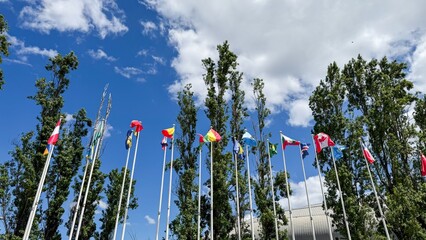 Tall flagpoles sway under azure sky, international unity whispers during World Day for Cultural...