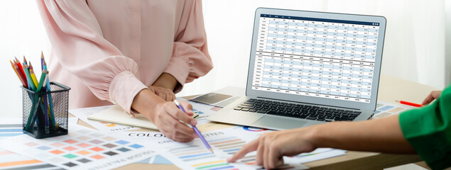 Accounting software on computer screen showing financial statement spreadsheets and account balance...