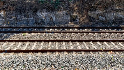 Rustic railway tracks meander through sunlit wilderness, evoking nomadic wanderlust and enchanting...