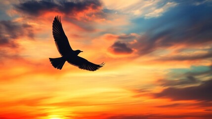 Fototapeta premium A silhouette of a bird flying against a vibrant sunset with colorful clouds above