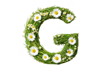 Letter g made of grass and daisies isolated on transparent background