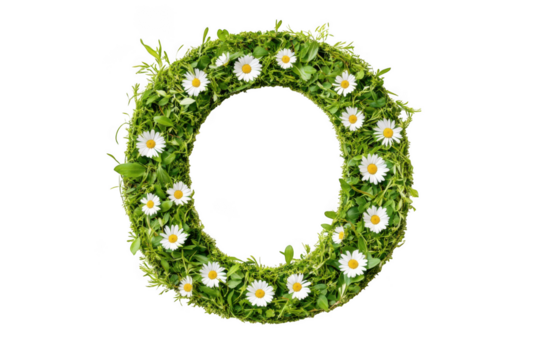 Floral wreath with daisies isolated on transparent background