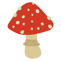 Hand drawn fly agaric mushroom illustration. Inedible mushroom, fungus