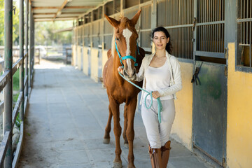 Young woman takes horse on leash for walk from stables..