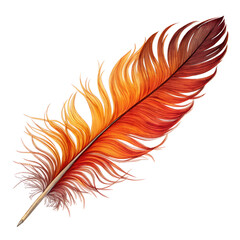 phoenix feather on transparent background png