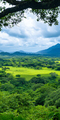 Obraz premium landscape with green grass and blue sky