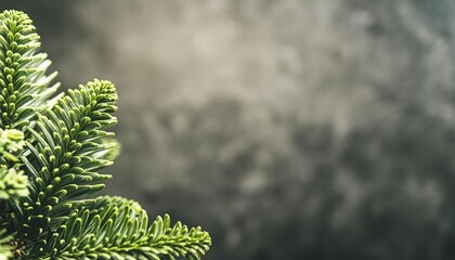Gray Background Neutral Canvas for Diverse Design Needs