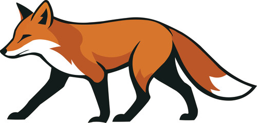 red fox vector illustration