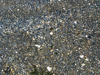 A textured surface of natural gravel spreads across the ground, forming a rugged, earthy backdrop....