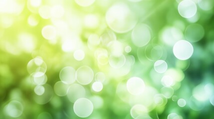 Fototapeta premium Abstract blurred background in green light tones for presentation on text