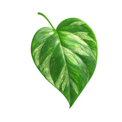 Obraz premium against a black background, a single, heart shaped leaf is prominently displayed. the leaf features a pointed tip and is supported by a thin stem