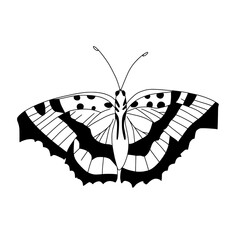 Hand-drawn fineline butterfly in traditional Korean 'minwha' style 