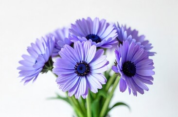 Bouquet of blue flowers on a white background