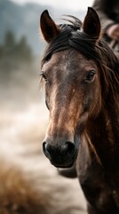 Majestic brown horse stands proudly in misty landscape at dawn
