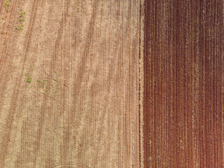 Contrast in the field between plowed land ready for planting and raw land