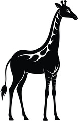 Obraz premium giraffe silhouette, long neck, standing animal 