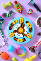 Colorful collection of dog and cat toys: interactive puzzle feeder and play accessories. Pet care concept.