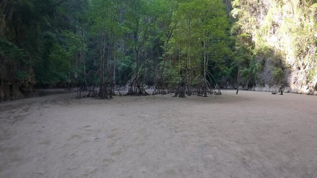 Panak İsland , a peaceful sandy beach surrounded by cliffs and greenery, with smooth sand and no visible footprints or human presence 