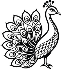  peacock silhouette, fanned tail, elegant bird
