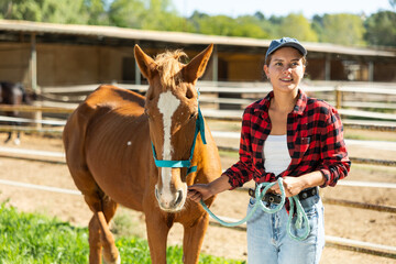 On territory of animal farm, girl walks with pet horse. She holds animal by bridle, walks down...