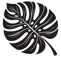 Highly detailed black and white graphic illustration of a tropical botanical Monstera split leaf plant vector art design elements
