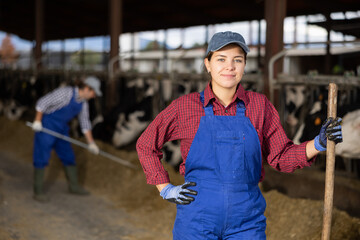 Skilled positive young female farm worker standing with rake while giving hay to cows on ranch © JackF