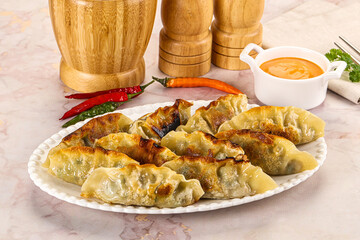Japanese fried Gyoza stuffed dumplings