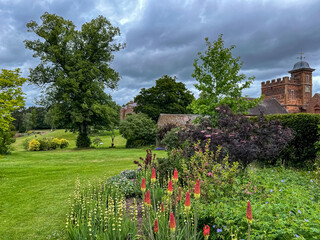english garden with flowers