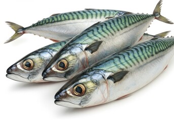Obraz premium Fresh mackerel fish isolated on white background, a healthy and nutritious seafood choice