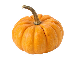 Single mini pumpkin isolated on transparent background