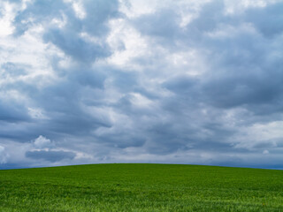 Minimalist landscape with a green field and dramatic cloudy sky, evoking calm and solitude —...