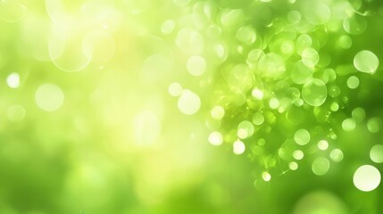 Fototapeta premium light green background, play of light, minimalism