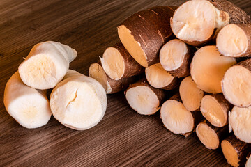 Cassava, also called manioc, yuca, balinghoy, mogo, mandioca, kamoteng kahoy, tapioca and manioc root, a woody shrub of the Euphorbiaceae family native to South America.