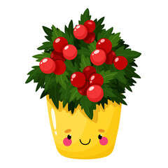 Tomato with fruits in a pot
