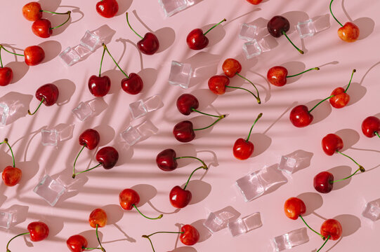Summer sunlight fruit pattern with fresh red cherries, ice cubes and palm tree leaf shadow on pastel pink background. Summer food and drink concept. Sun and shadows. Flat lay style. Top view.
