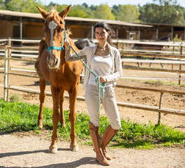 Young woman walking chestnut horse on leash in paddock
