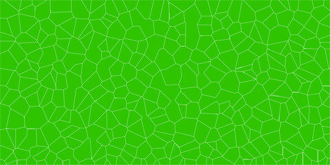 Scientific-style representation of organic cellular division

