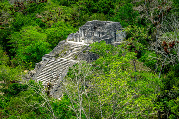 The majestic Pyramid of Tikal rises from the Guatemalan jungle, showcasing ancient Mayan...