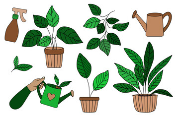 Vector set with plants and gardening tools, perfect for teaching kids about plant care, eco habits, and nature through fun educational visuals.