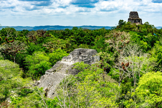 The majestic Pyramid of Tikal rises from the Guatemalan jungle, showcasing ancient Mayan architecture, rich history, and breathtaking views in a UNESCO World Heritage Site.