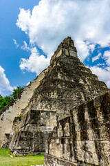 Fototapeta premium The majestic Pyramid of Tikal rises from the Guatemalan jungle, showcasing ancient Mayan architecture, rich history, and breathtaking views in a UNESCO World Heritage Site.