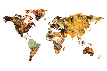 World map made of different aromatic spices on white background