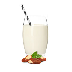 Nut milk in glass and Brazil nuts isolated on white