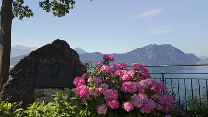 The Mark Twain monument in Weggis surrounded by pink flowers, overlooking Lake Lucerne and the Swiss Alps. Mark Twain stayed in Weggis in the summer of 1897. 4K UHD video.