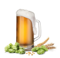 Fresh beer in glass mug with hop flowers and ears of wheat on white background