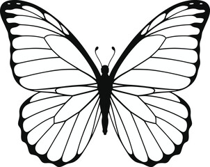 A black and white butterfly illustration with detailed wings on a white background for coloring book pages