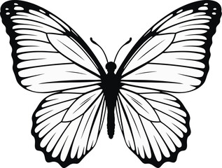 A detailed black and white illustration of a butterfly with intricate wing patterns on a white background
